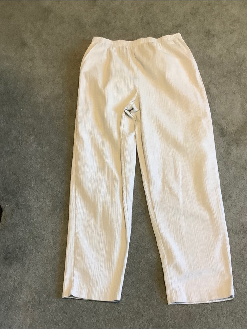 Blair Very Light Gray Women’s Pants Size Large